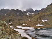 Spettacolo di fiori e marmotte sui sentieri per i Laghetti di Ponteranica – 18magg22  - FOTOGALLERY